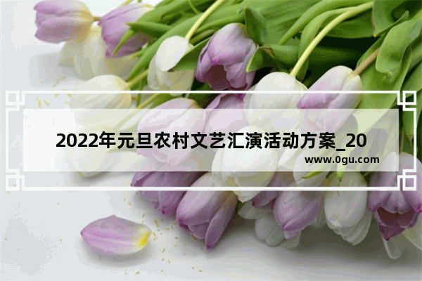 2022年元旦农村文艺汇演活动方案_2021年元旦能否杀猪