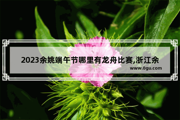 2023余姚端午节哪里有龙舟比赛,浙江余姚端午有什么习俗