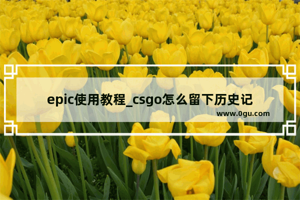 epic使用教程_csgo怎么留下历史记录