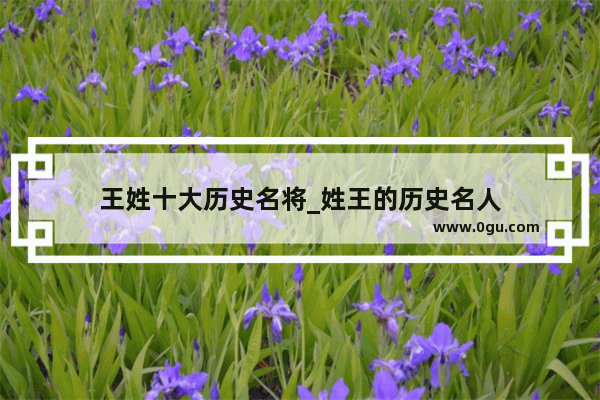 王姓十大历史名将_姓王的历史名人