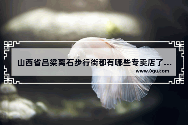 山西省吕梁离石步行街都有哪些专卖店了 吕梁市货源街历史文化