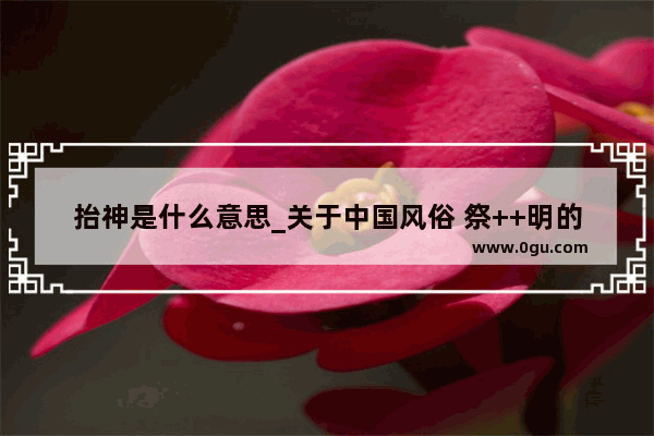 抬神是什么意思_关于中国风俗 祭++明的问题
