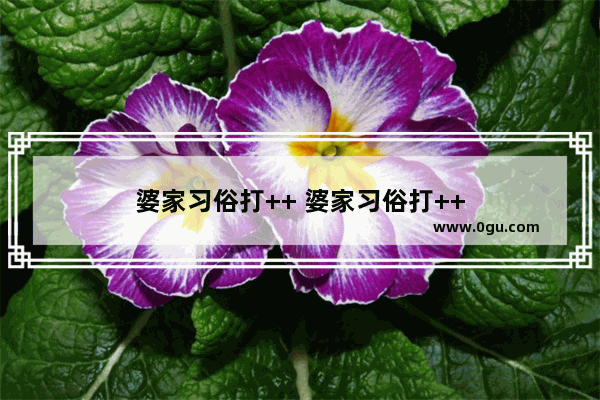 婆家习俗打++ 婆家习俗打++