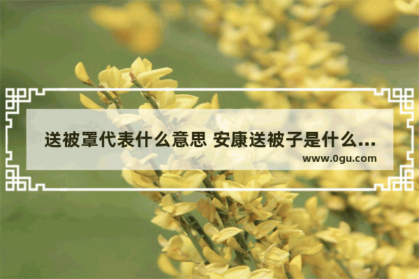 送被罩代表什么意思 安康送被子是什么习俗