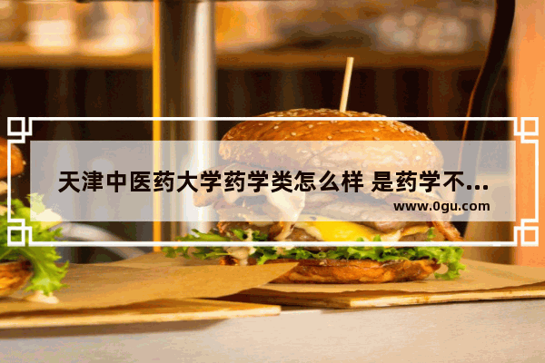 天津中医药大学药学类怎么样 是药学不是中药学,天津的中医药历史文化