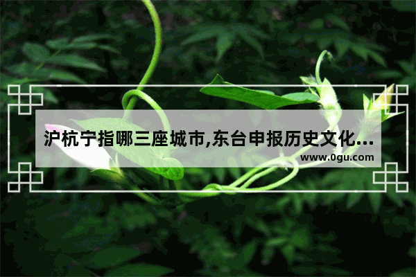 沪杭宁指哪三座城市,东台申报历史文化名城时间