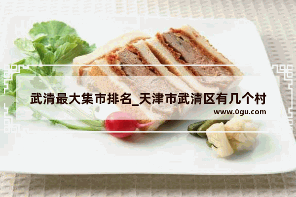 武清最大集市排名_天津市武清区有几个村