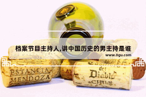 档案节目主持人,讲中国历史的男主持是谁