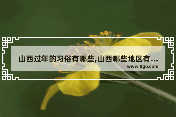 山西过年的习俗有哪些,山西哪些地区有春节习俗