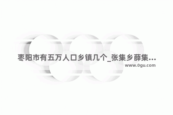 枣阳市有五万人口乡镇几个_张集乡薛集村历史人物