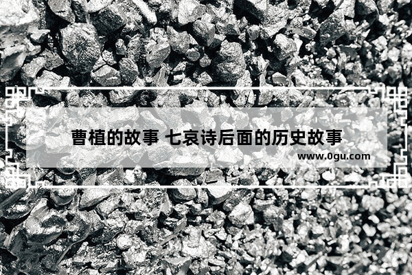 曹植的故事 七哀诗后面的历史故事