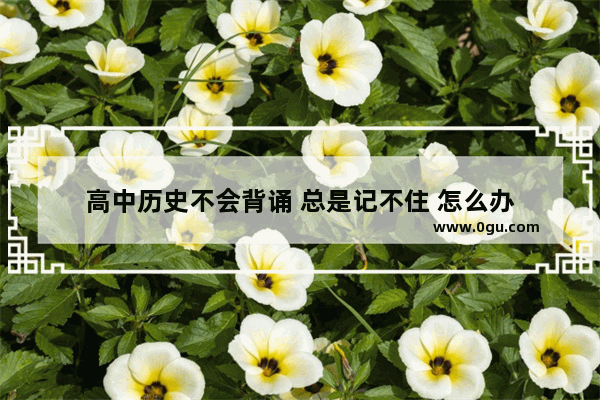 高中历史不会背诵 总是记不住 怎么办
