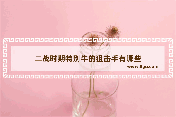 二战时期特别牛的狙击手有哪些
