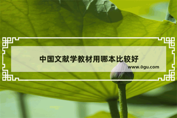 中国文献学教材用哪本比较好