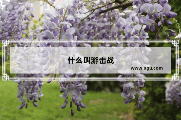 什么叫游击战