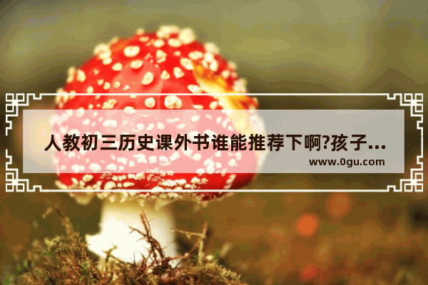 人教初三历史课外书谁能推荐下啊?孩子马上初三 初二期末感觉考的不错 结果不及格