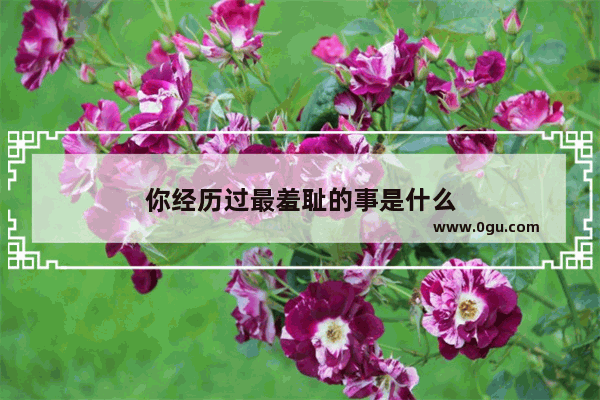 你经历过最羞耻的事是什么