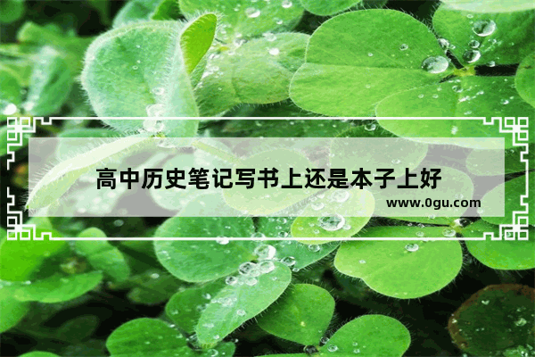 高中历史笔记写书上还是本子上好