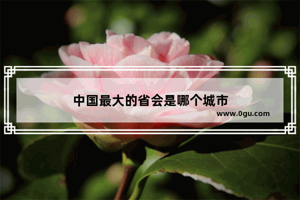 中国最大的省会是哪个城市