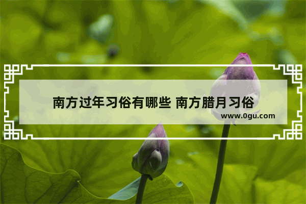 南方过年习俗有哪些 南方腊月习俗
