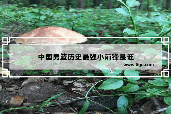 中国男篮历史最强小前锋是谁