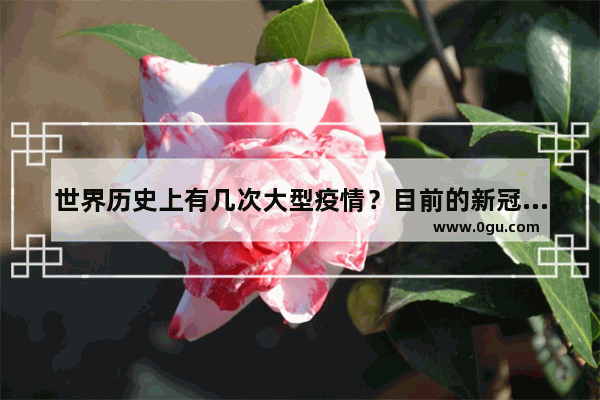 世界历史上有几次大型疫情？目前的新冠肺炎在其中算什么等级
