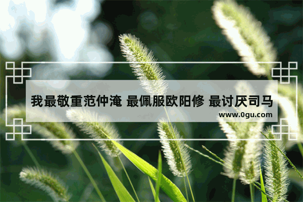 我最敬重范仲淹 最佩服欧阳修 最讨厌司马光 最同情王安石 最羡慕苏东坡_您呢