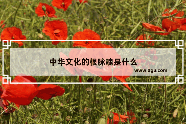 中华文化的根脉魂是什么