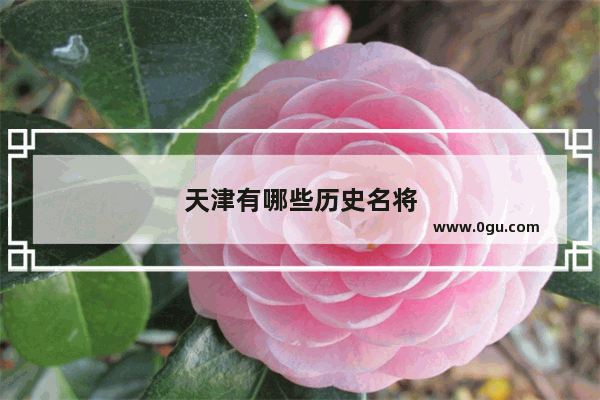 天津有哪些历史名将