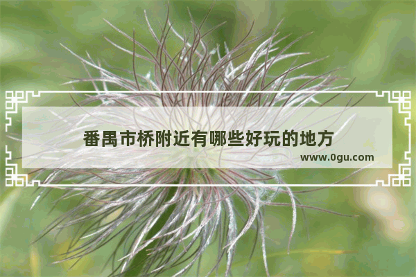 番禺市桥附近有哪些好玩的地方