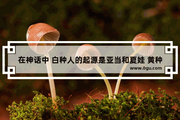 在神话中 白种人的起源是亚当和夏娃 黄种人是女娲 黑种人是什么？有没有