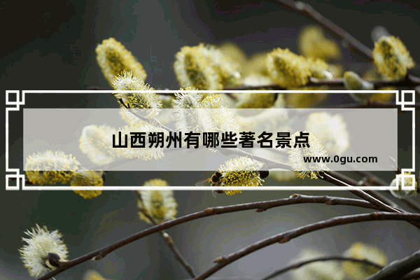 山西朔州有哪些著名景点