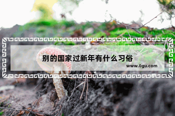 别的国家过新年有什么习俗