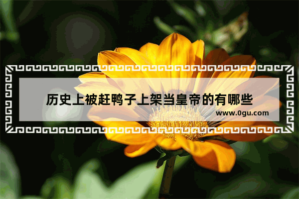 历史上被赶鸭子上架当皇帝的有哪些