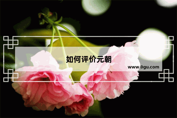 如何评价元朝