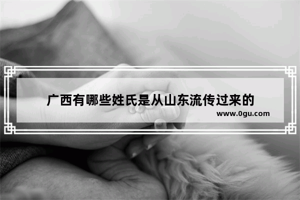 广西有哪些姓氏是从山东流传过来的