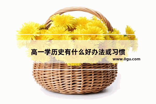 高一学历史有什么好办法或习惯