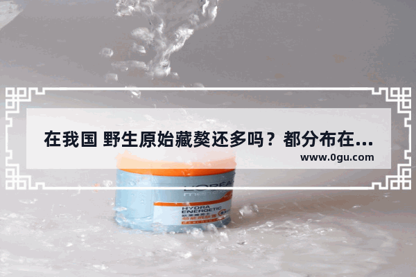 在我国 野生原始藏獒还多吗？都分布在哪里