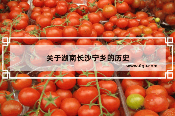 关于湖南长沙宁乡的历史