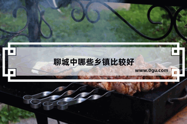 聊城中哪些乡镇比较好