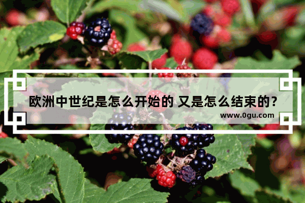 欧洲中世纪是怎么开始的 又是怎么结束的？中间都经历了些什么大事