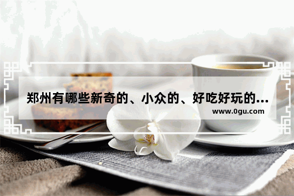 郑州有哪些新奇的、小众的、好吃好玩的室内去处