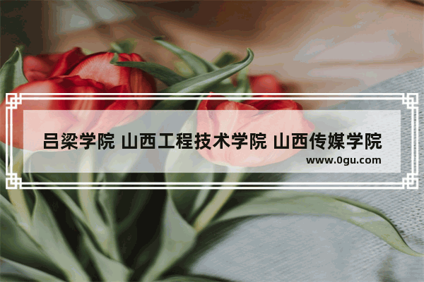 吕梁学院 山西工程技术学院 山西传媒学院 哪个学校比较好 环境好
