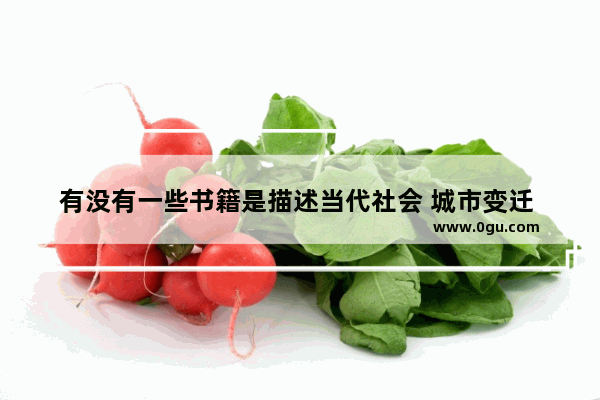 有没有一些书籍是描述当代社会 城市变迁 历史发展 人文情怀的