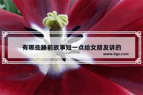 有哪些睡前故事短一点给女朋友讲的