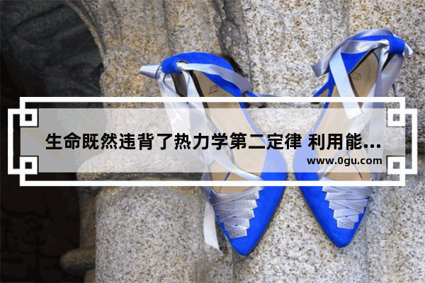 生命既然违背了热力学第二定律 利用能量来对抗熵增 那么为何生命不能长生