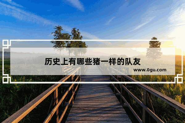 历史上有哪些猪一样的队友