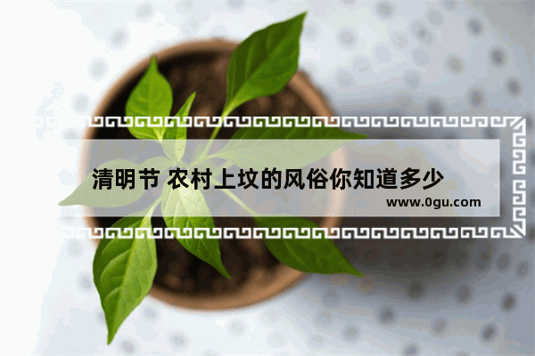 清明节 农村上坟的风俗你知道多少