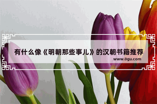 有什么像《明朝那些事儿》的汉朝书籍推荐