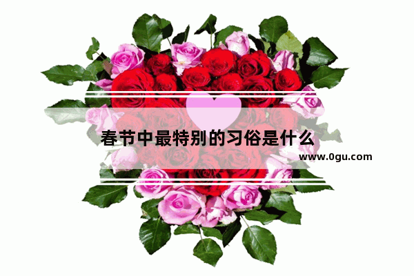 春节中最特别的习俗是什么